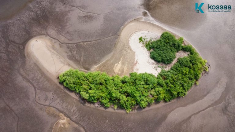 EXCLUSIVA PROPIEDAD TIPO A EN ISLA PAJARITO CON PLAYA PRIVADA