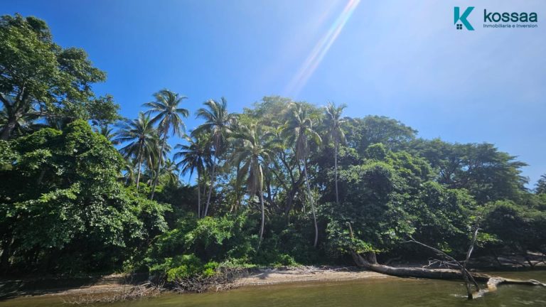 4 PROPIEDADES FRENTE A LA BAHIA EN ISLA MADRE SAL, VEGETACION UNICA Y SERVICIOS DISPONIBLES 1