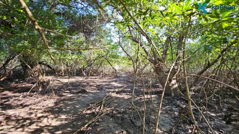 HACIENDA CORRAL BLANCO: BAHIA PRIVADA EN LA PENINSULA DE SAN JUAN DEL GOZO 3