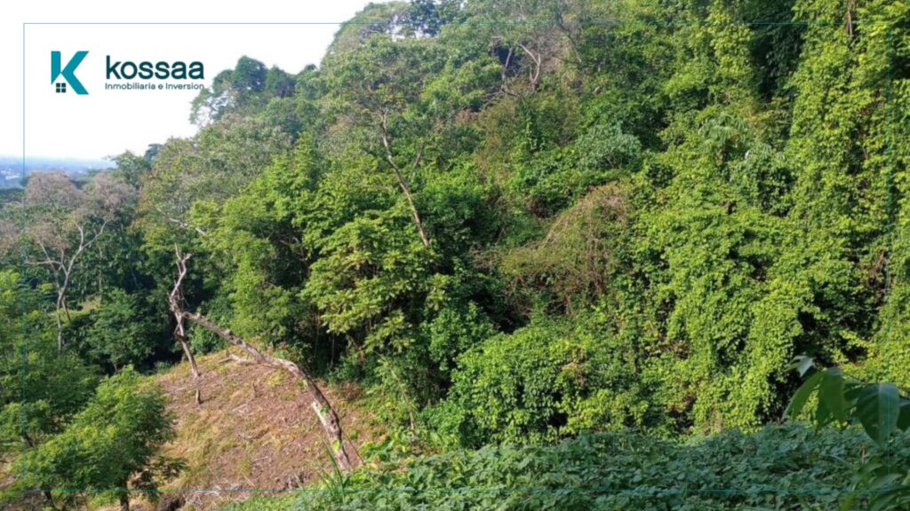 Venta de terreno de 2 Manzanas Calle a Sisimitepec - El Salvador