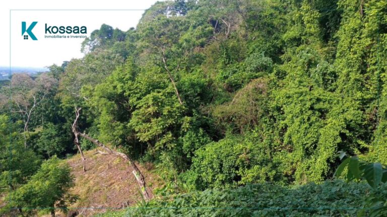 Venta de terreno de 2 Manzanas Calle a Sisimitepec - El Salvador