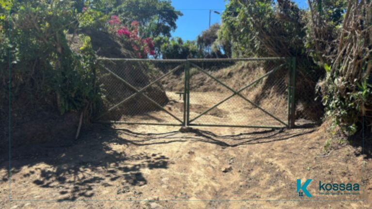 Finca de café en Concepción de Ataco – Cantón San José