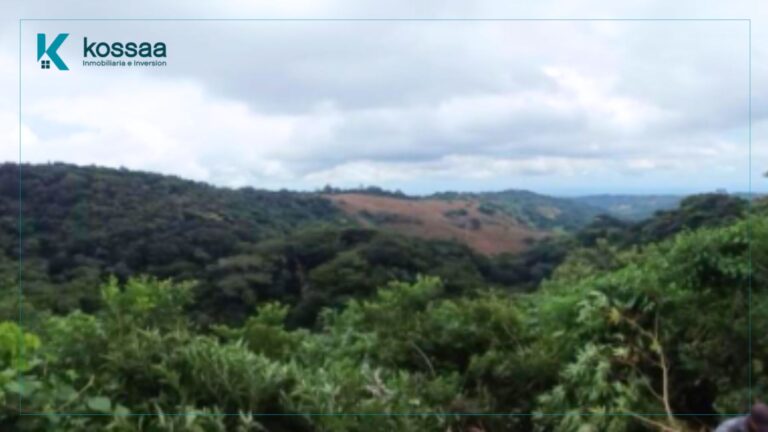 Venta de finca cafetalera en Copínula, Cantón Los Amates, Ahuachapán (El Salvador)