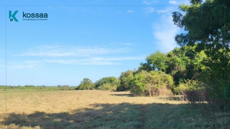 Venta de terreno lindante con la carretera en Bahía de Jiquilisco - El Salvador