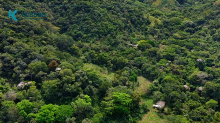 Venta de terreno en Armenia – Sonsonate