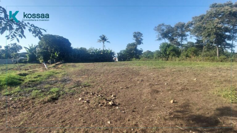 Terreno de 3.25 manzanas para desarrollo – Lourdes Colón - 1