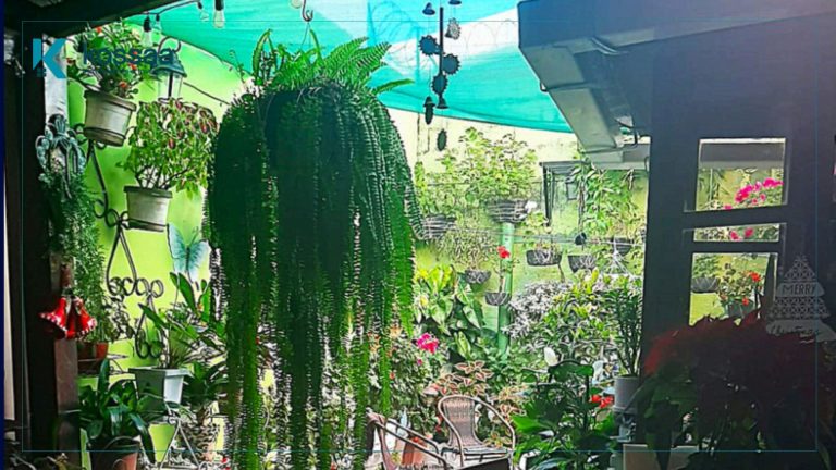 Venta de Casa en Lomas de San Francisco – San Salvador (El Salvador) 1