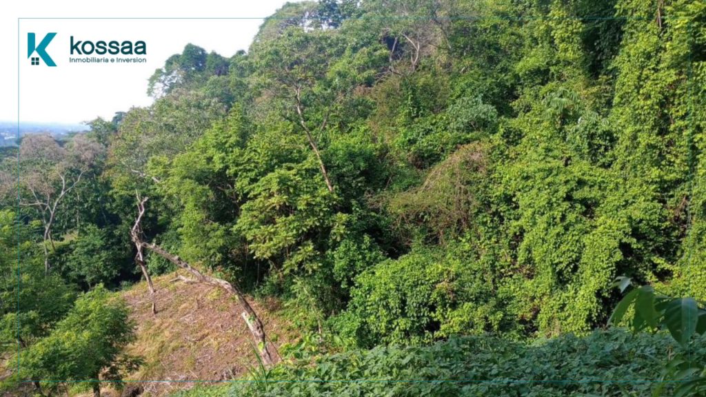 Venta de Terreno de 2 manzanas en Calle a Sisimitepec – Sonsonate 1