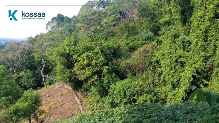 Venta de Terreno de 2 manzanas en Calle a Sisimitepec – Sonsonate 1