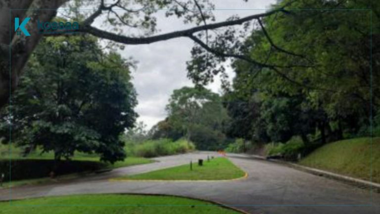 Venta de Terrenos urbanizados en Blvd Sur Santa Tecla (El Salvador) 1