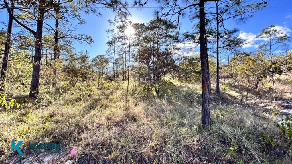 1 Lotes residenciales en venta en Morazán El Salvador