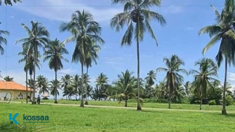 1 Terreno cerca de Playa de las Lajas en venta Panamá